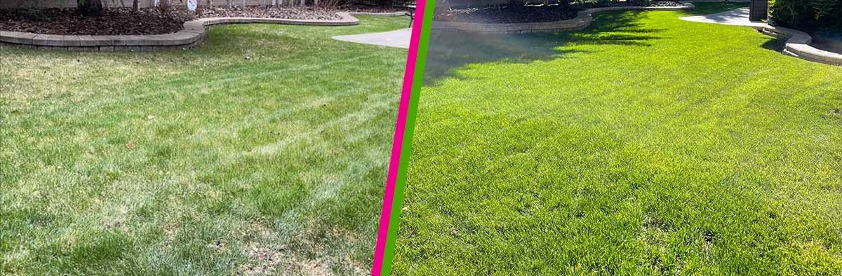 Freshly mowed residential lawn — Sipes Lawn Care York PA